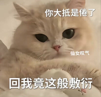 情侣吵架小猫咪可爱表情包