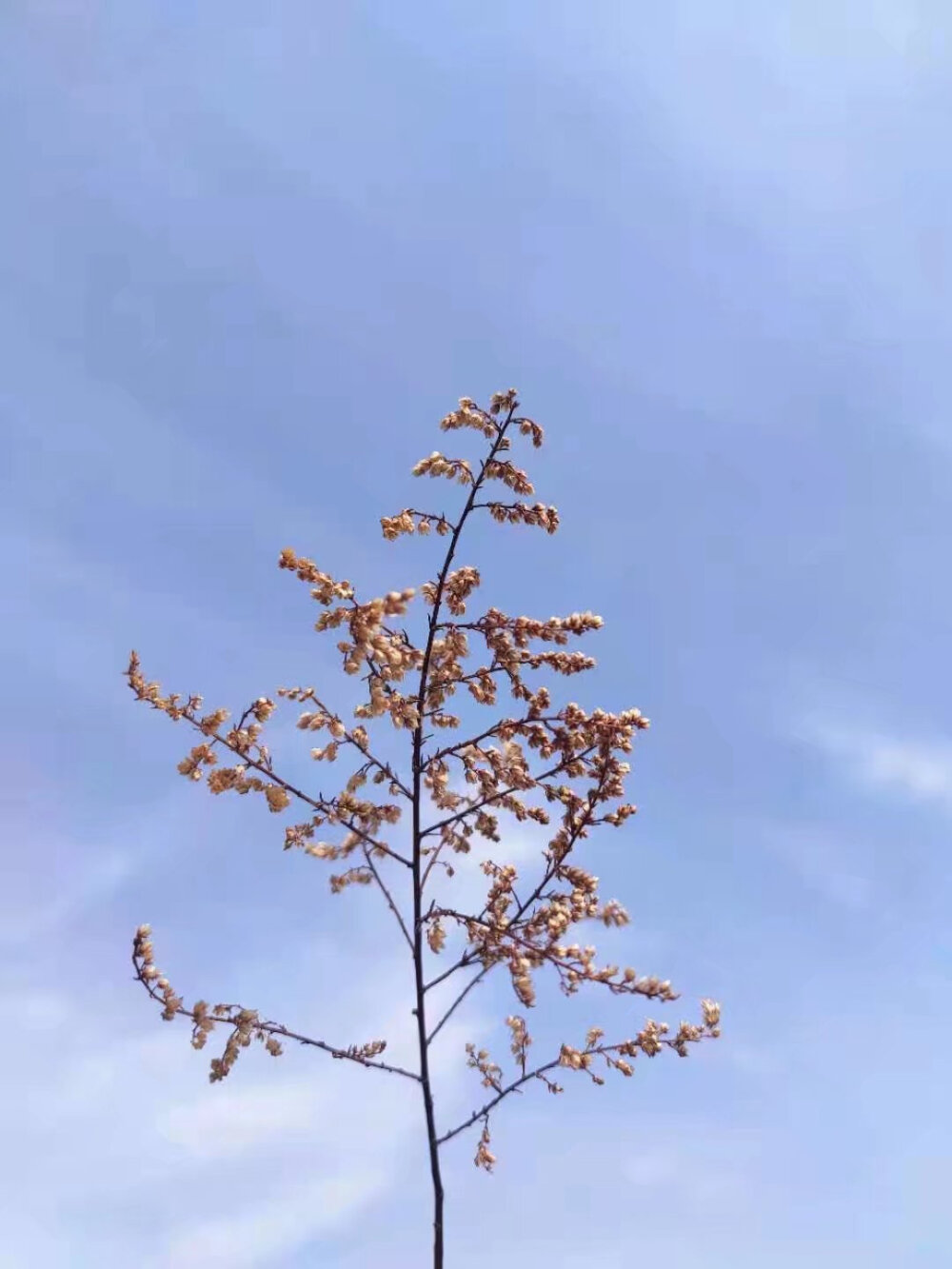 治愈系风景