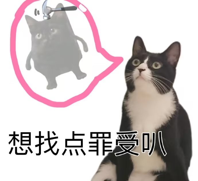 找点罪受吧，猫咪