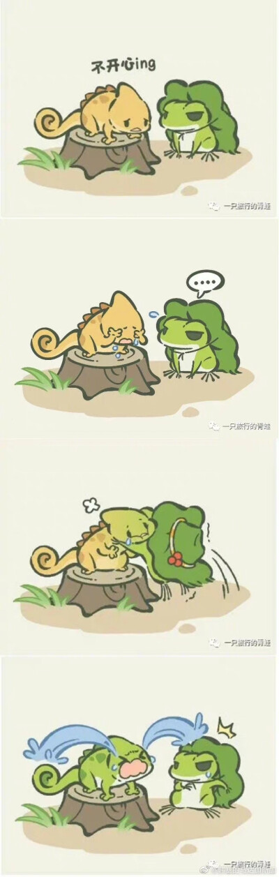 蛙蛙