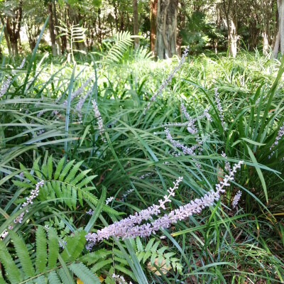 植物园里的小天地