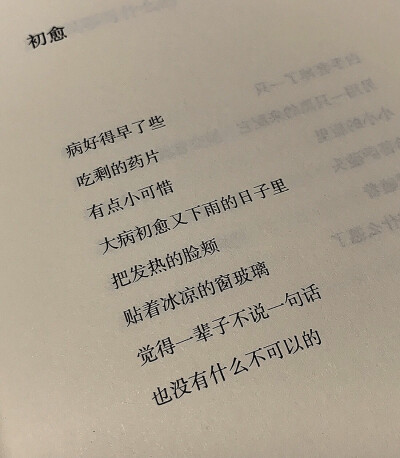  玫瑰不一定要长成松柏