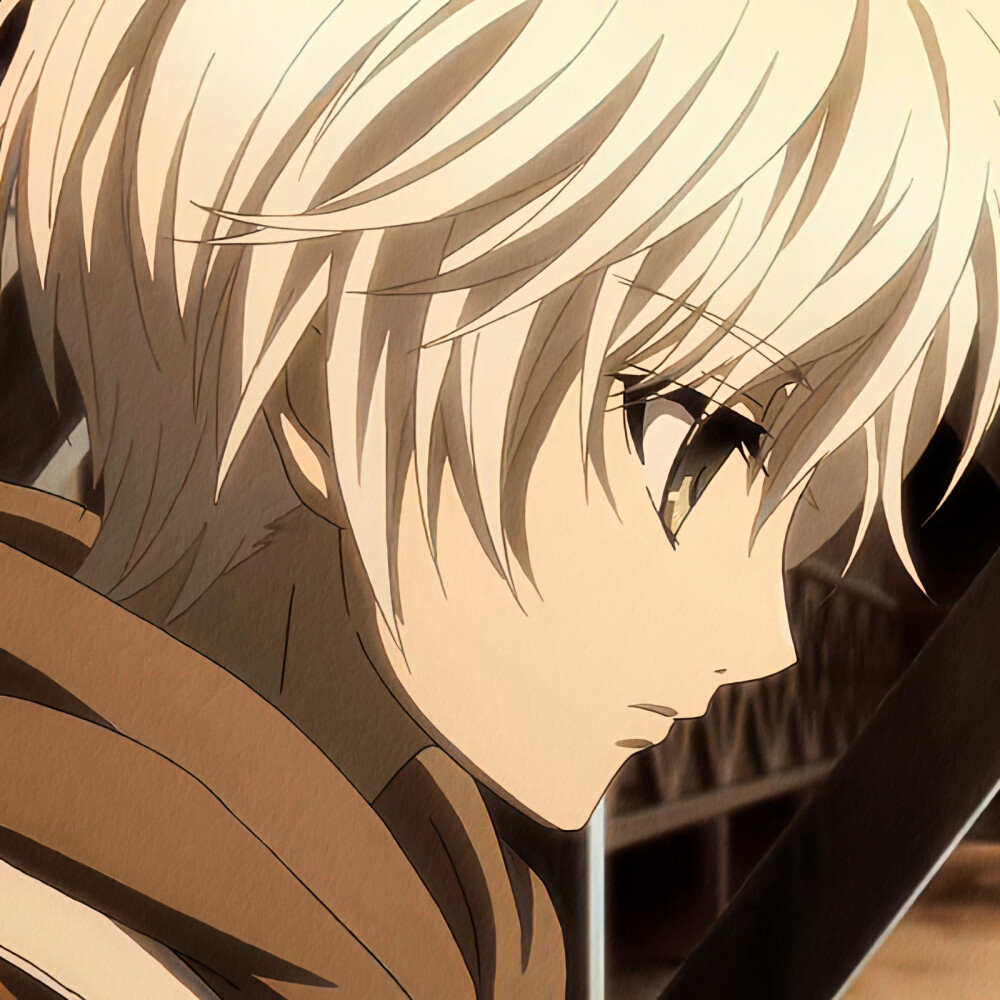 八犬传 二转注明1啵