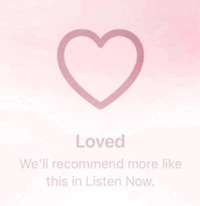 常青树 你并不长情