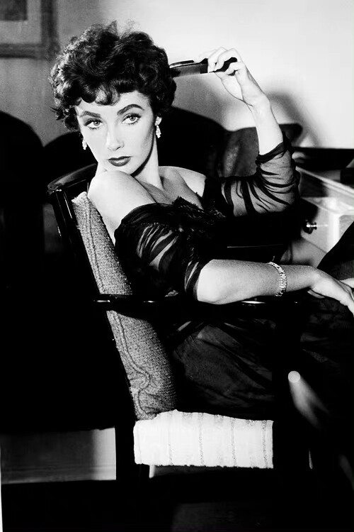  Elizabeth Taylor
