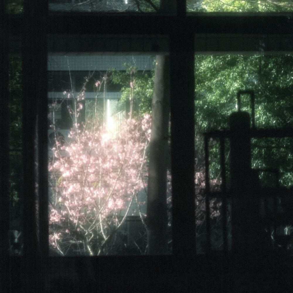 ～╭══╮┌══════════┐
​​╭╯让路║ 林榆潇和张瀚的婚车
​​╰⊙═⊙╯╰══⊙════⊙══╯