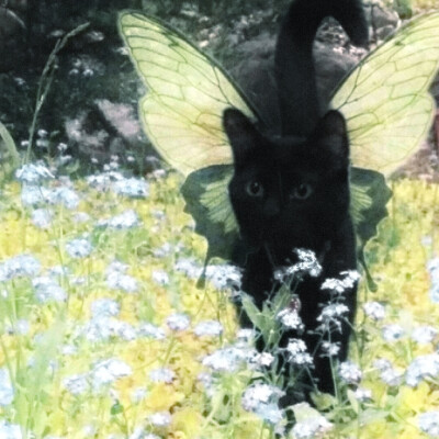 ～╭══╮┌══════════┐
​​╭╯让路║ 林榆潇和张瀚的婚车
​​╰⊙═⊙╯╰══⊙════⊙══╯