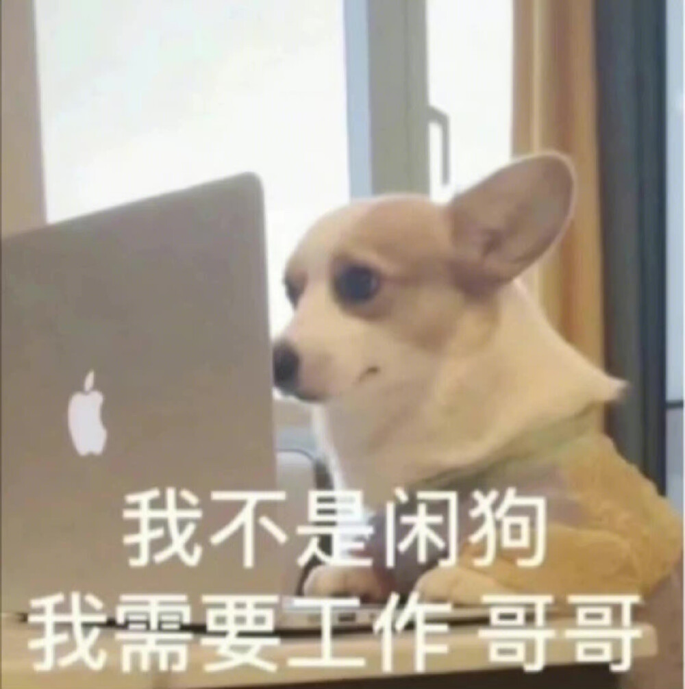 表情包