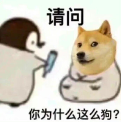 表情包