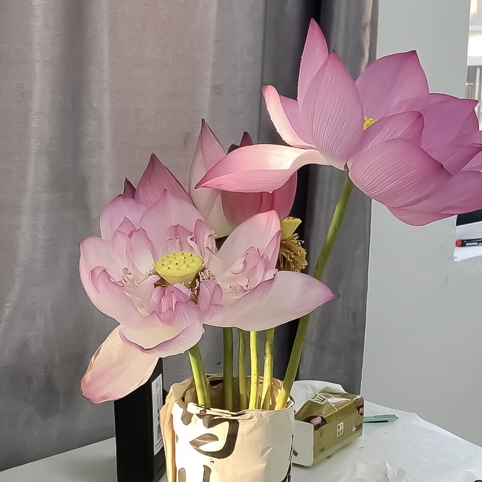 背景｜荷花｜国风｜壁纸｜
我欲与君相知，长命无绝衰。山无棱，江水为竭，东雷震震，夏雨雪，天地合，乃敢与君绝。
I want to know you, and I will live forever. There is no ridge in the mountain, the river is exhausted, the east thunders, the summer rains and snows, and the heavens and the earth are in harmony, so I dare to break with you.