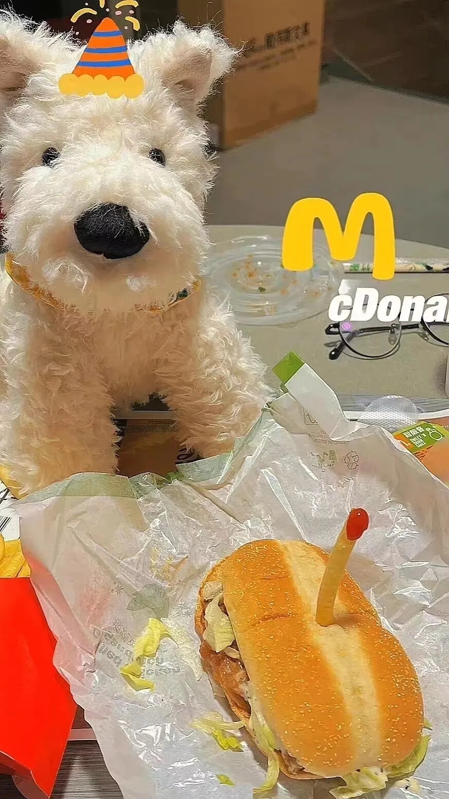 猫猫狗狗壁纸，头像