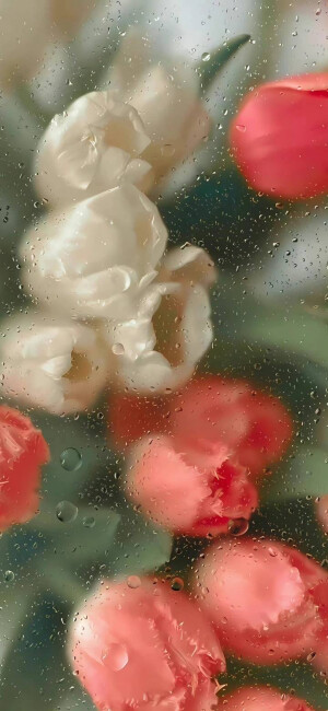 花壁纸 堆糖 美图壁纸兴趣社区
