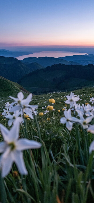 风景