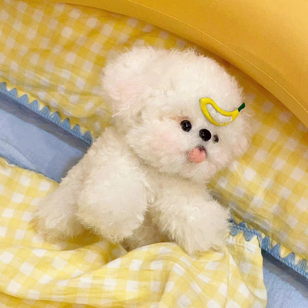 可爱小狗
#玩偶头像##可爱头像#