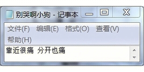 小狗记事本