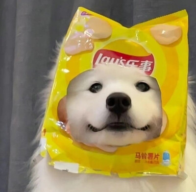 头像 动漫 可爱