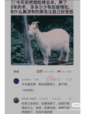 哈哈哈哈哈哈哈哈-小红书转载