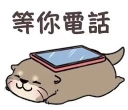 小水獭表情包