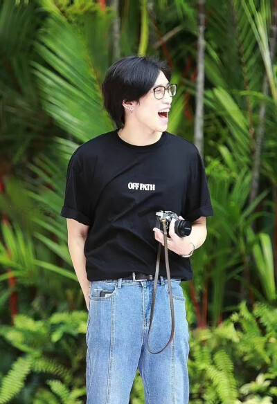 我的柏