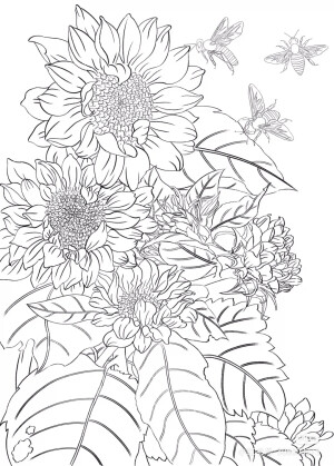 花草白描