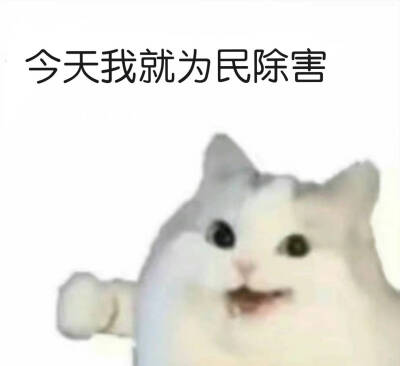 表情包