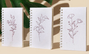 种子纸的分类？
所谓的“种子纸”就是在纸里面藏了种子，如果你把纸埋在泥土里，纸里面的野花种子就能发芽。

真正的手工种子纸生产，经由人工造纸，纸张自然晾晒，每张纸的种子纸是手工均匀嵌上种子，印刷过程中全程都不可以使用胶水和其他有害物质，所以这种纸张不会对土壤造成伤害，手工种子纸的印刷颜色不如机器颜色的颜色精准，所以一次印刷的时候更是需要一次性调好颜色。避免会有不同批次的色差。

这种种子纸只比一般的纸张贵一点，环保性和实用性却强多了，可以制作成生活中随处可见的产品（包装盒，贺卡、购物袋、笔记本、日历等等）
一个份种子纸制成的笔记本，写下希望同时种下“希望”

这份希望变可以成就一片绿化，帮它完