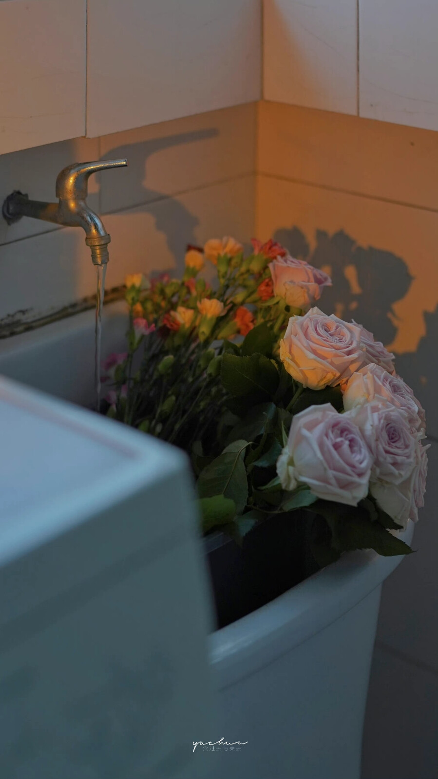 花
