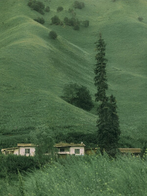 风景