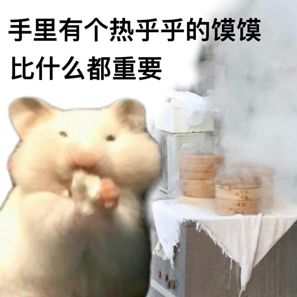 仓鼠 表情包