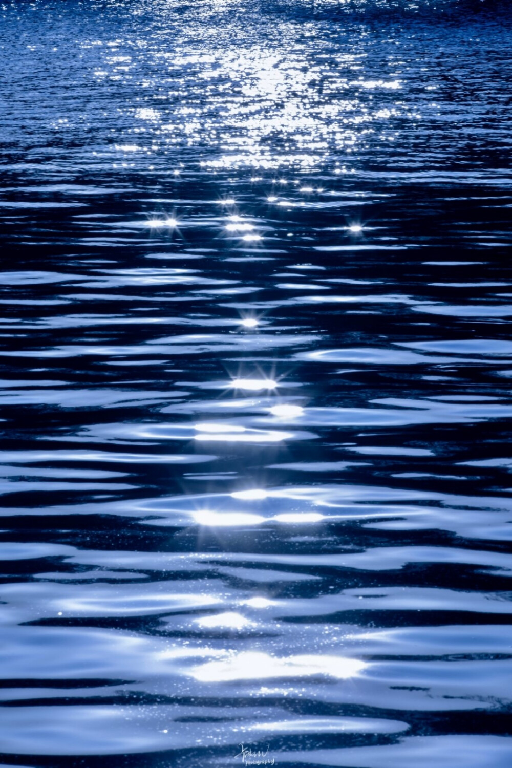 于凛冬绽放
蓝色壁纸︱侵删