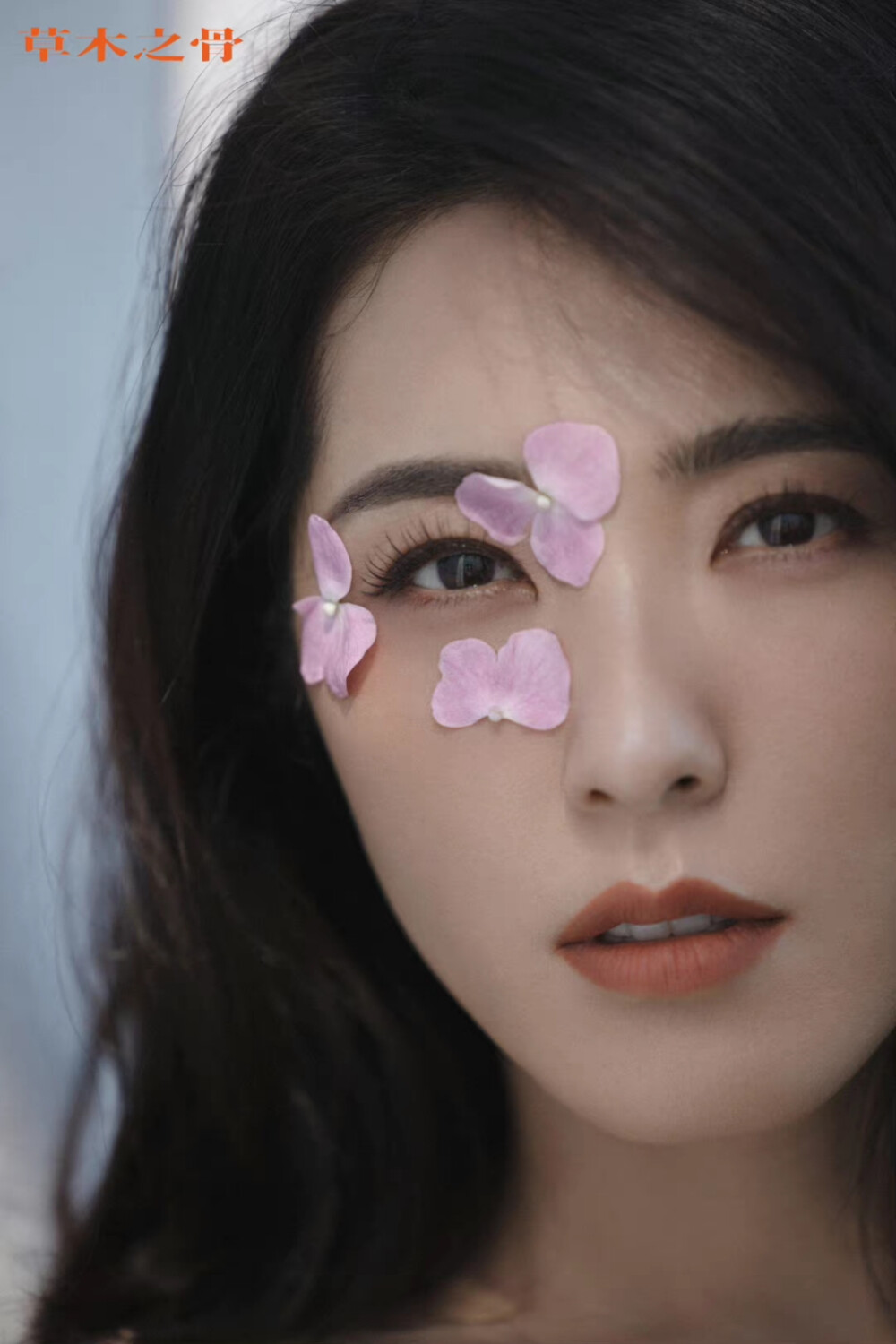 曾黎- 堆糖,美图壁纸兴趣社区