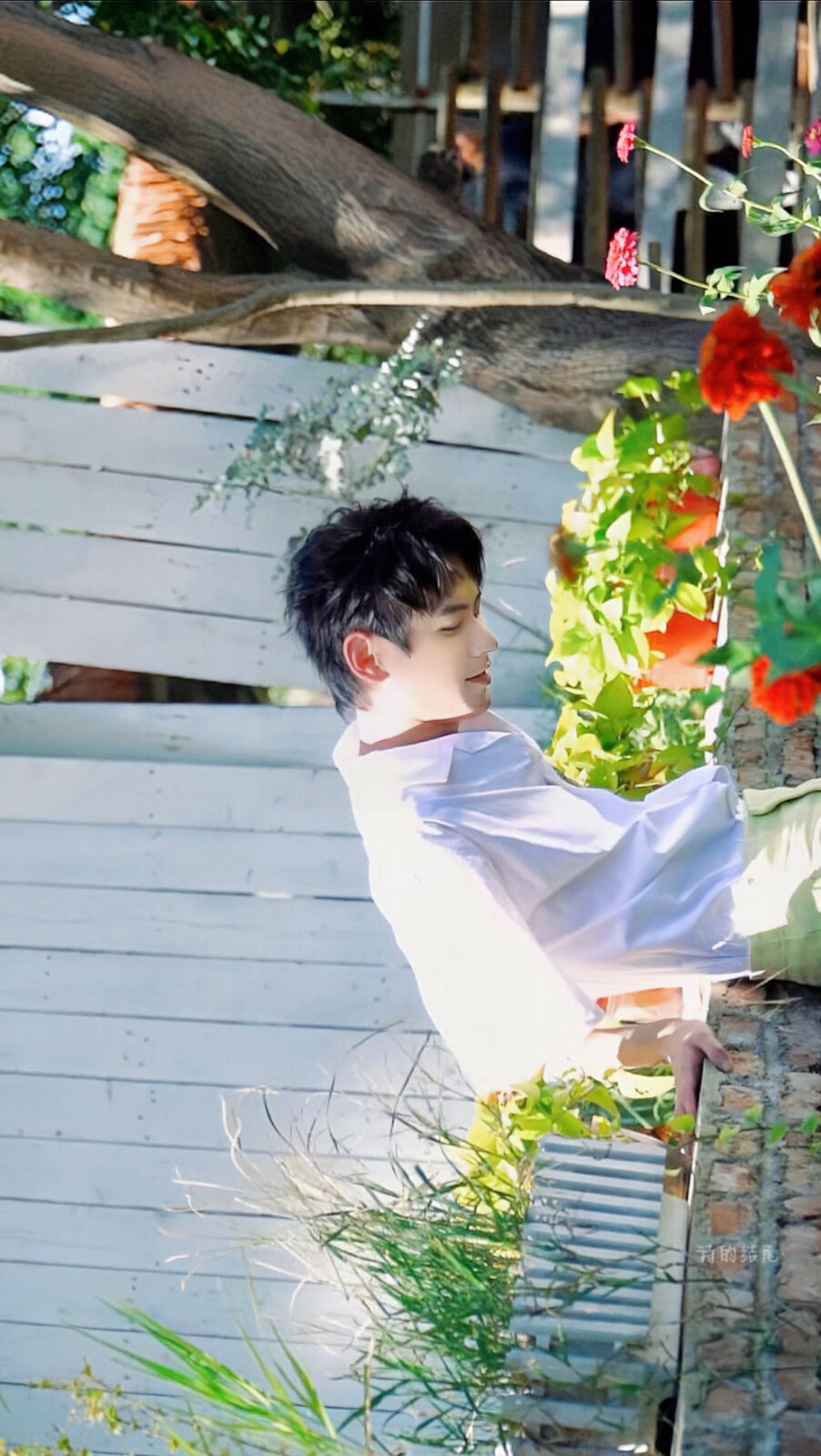 南京hero无畏/ Nofear 自修壁纸