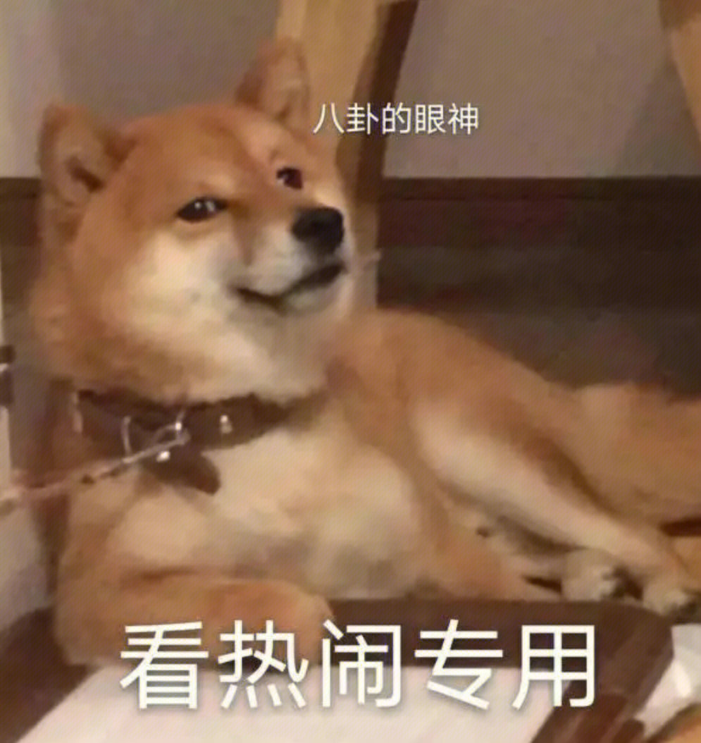 表情包