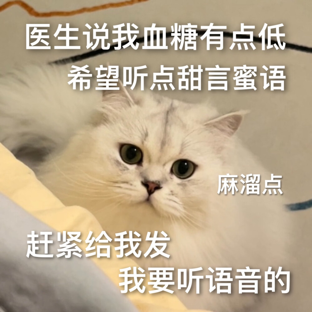 表情包