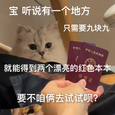 表情包