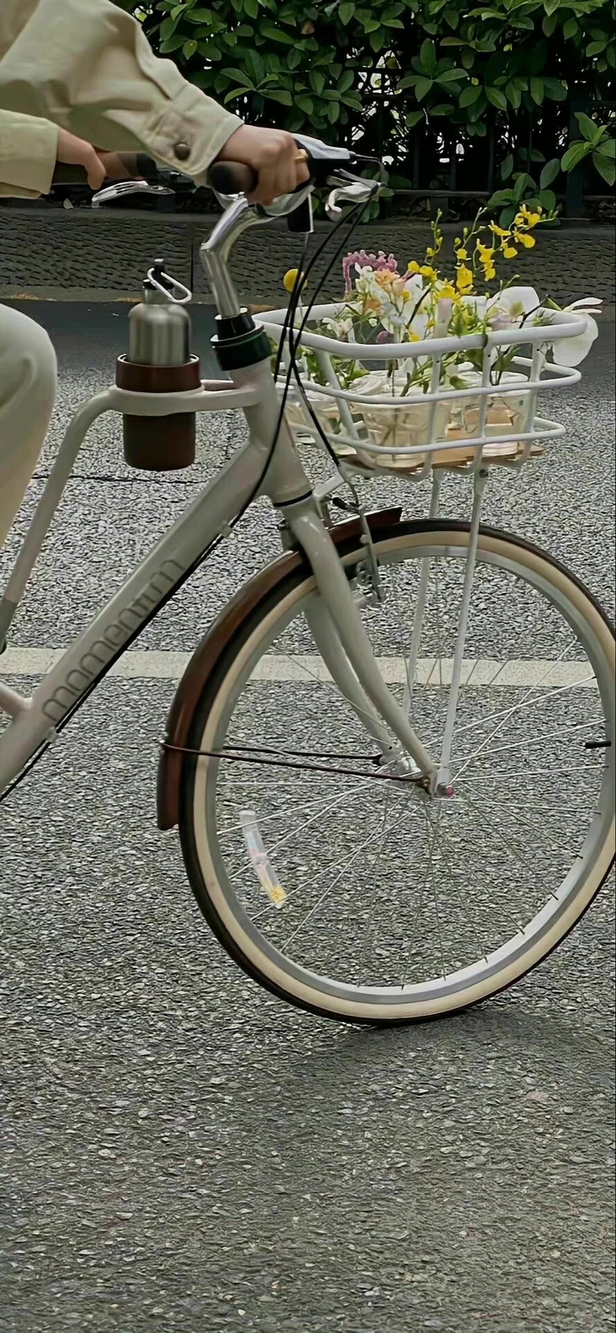 栖迟