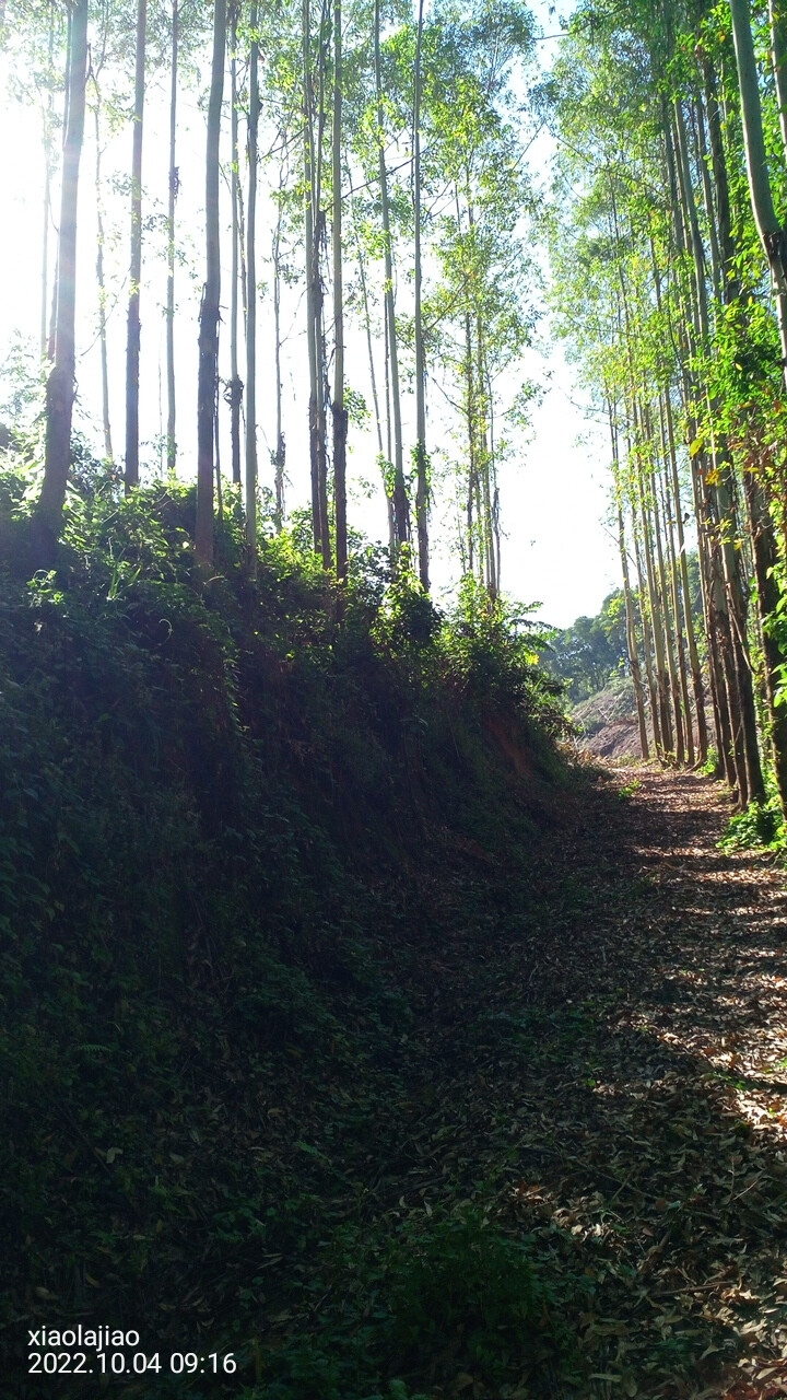 爷爷刚走，和父亲会家乡过重阳节