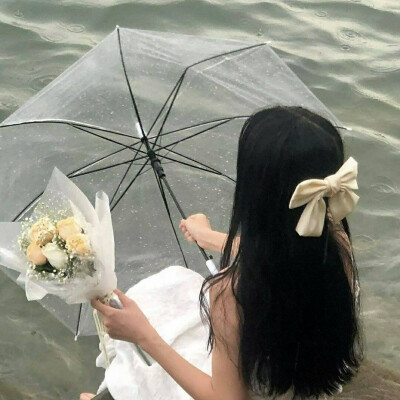 我养的猫长大了茶树也结了茶