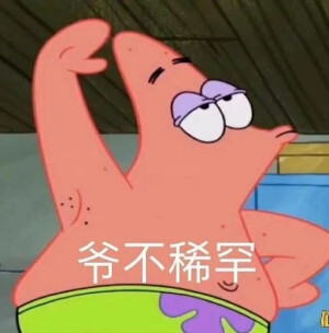 海绵宝宝表情包