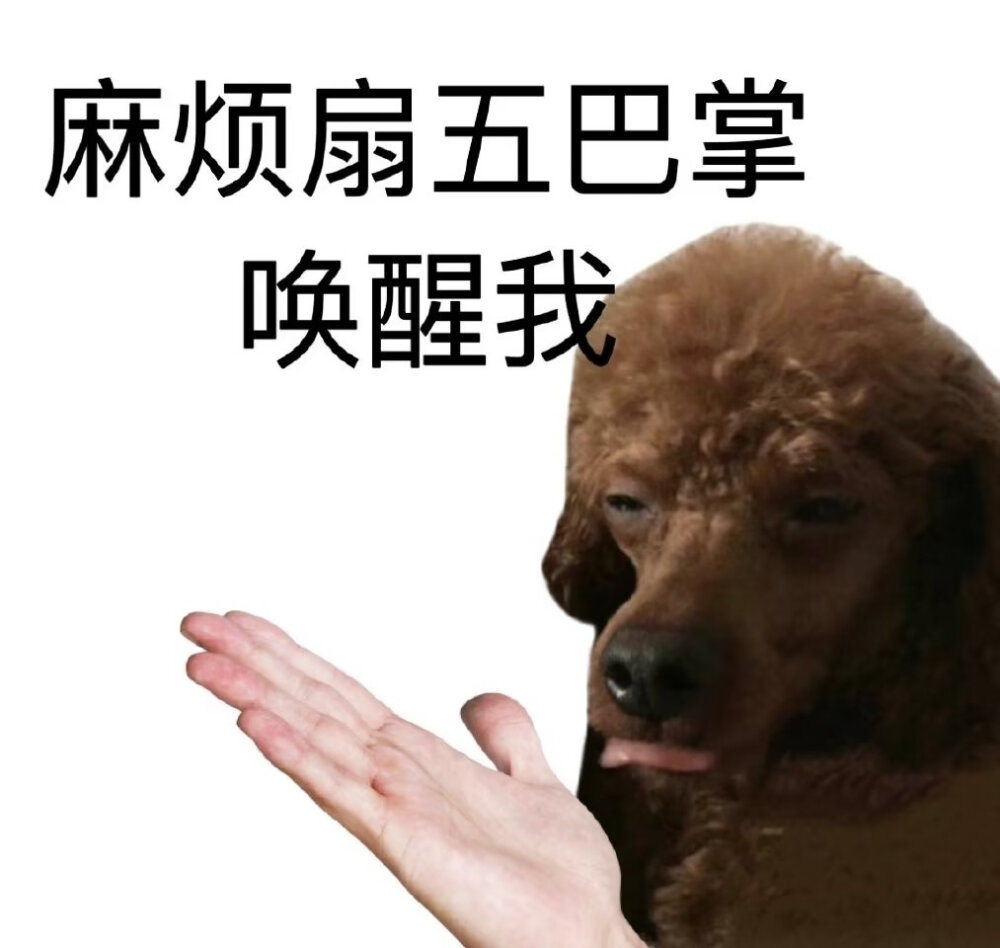 人活着哪有不疯的