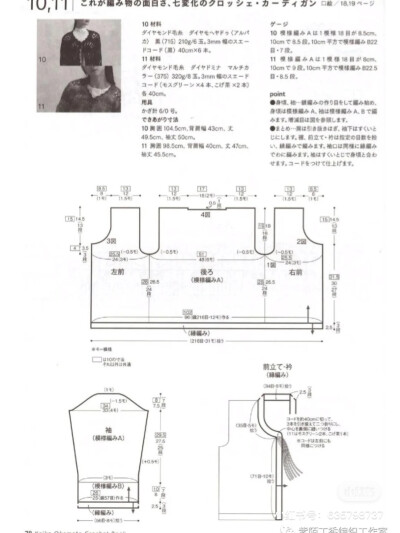 段染