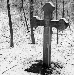他日若是同淋雪 此生也算共白头