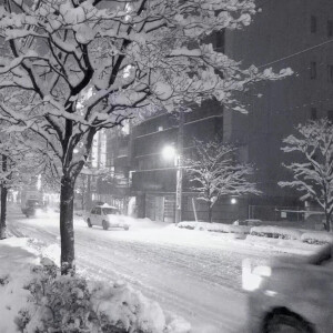 他日若是同淋雪 此生也算共白头