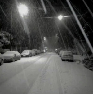 他日若是同淋雪 此生也算共白头