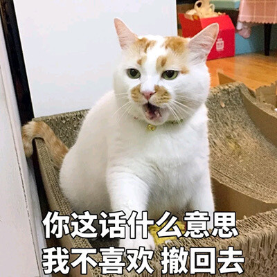 表情包