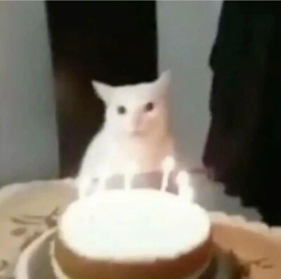 猫咪 搞怪 头像