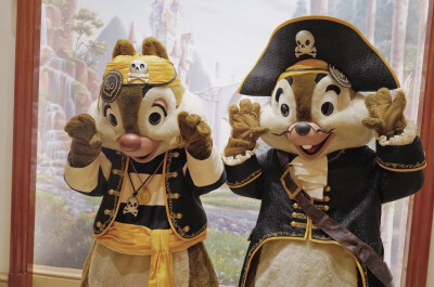 迪士尼 奇奇蒂蒂 Chip&Dale 