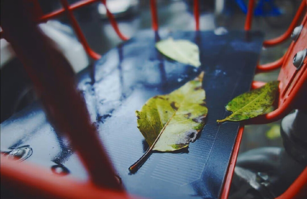 秋雨无痕 滴滴入心
