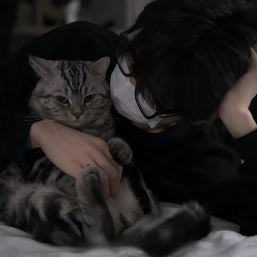 抱猫男生头像by抖音huangfu556