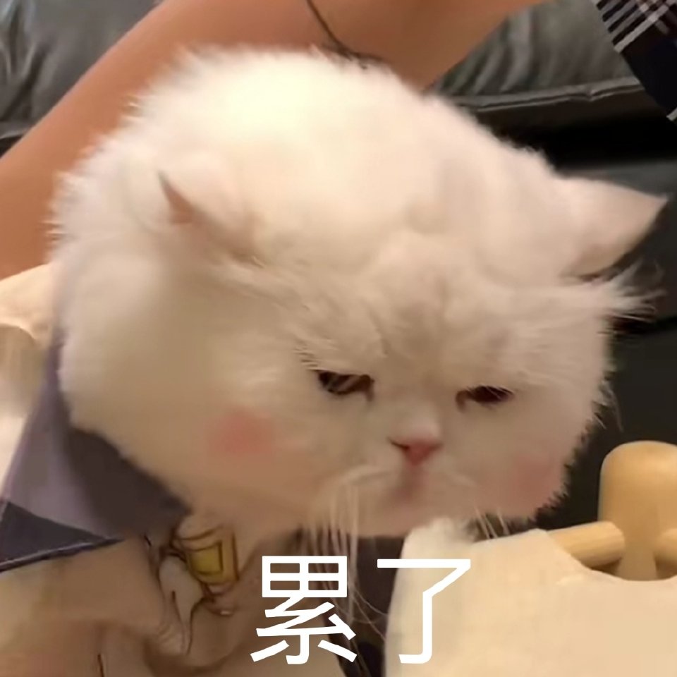 猫咪表情包
